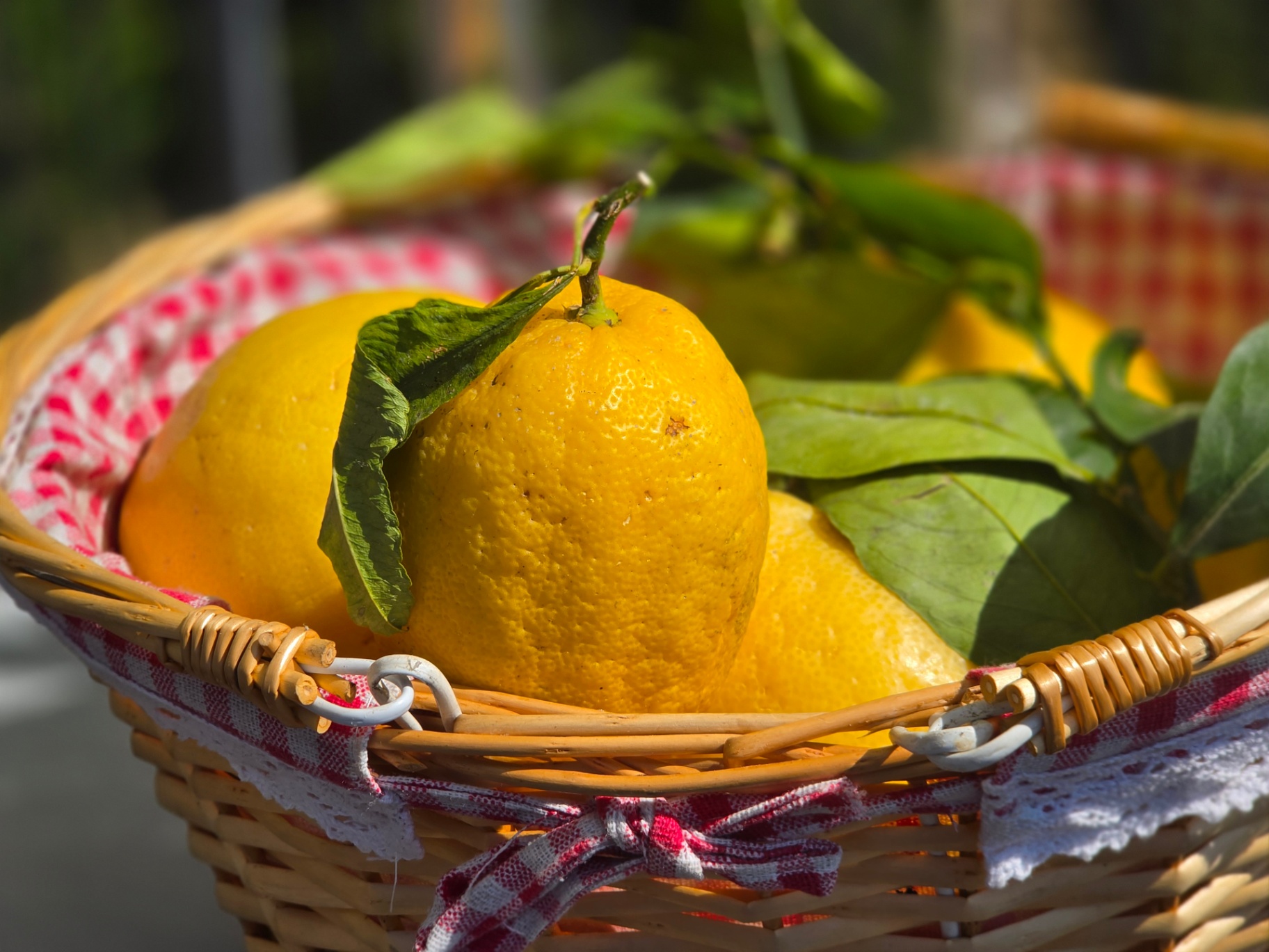 Basket of lemons with leaves