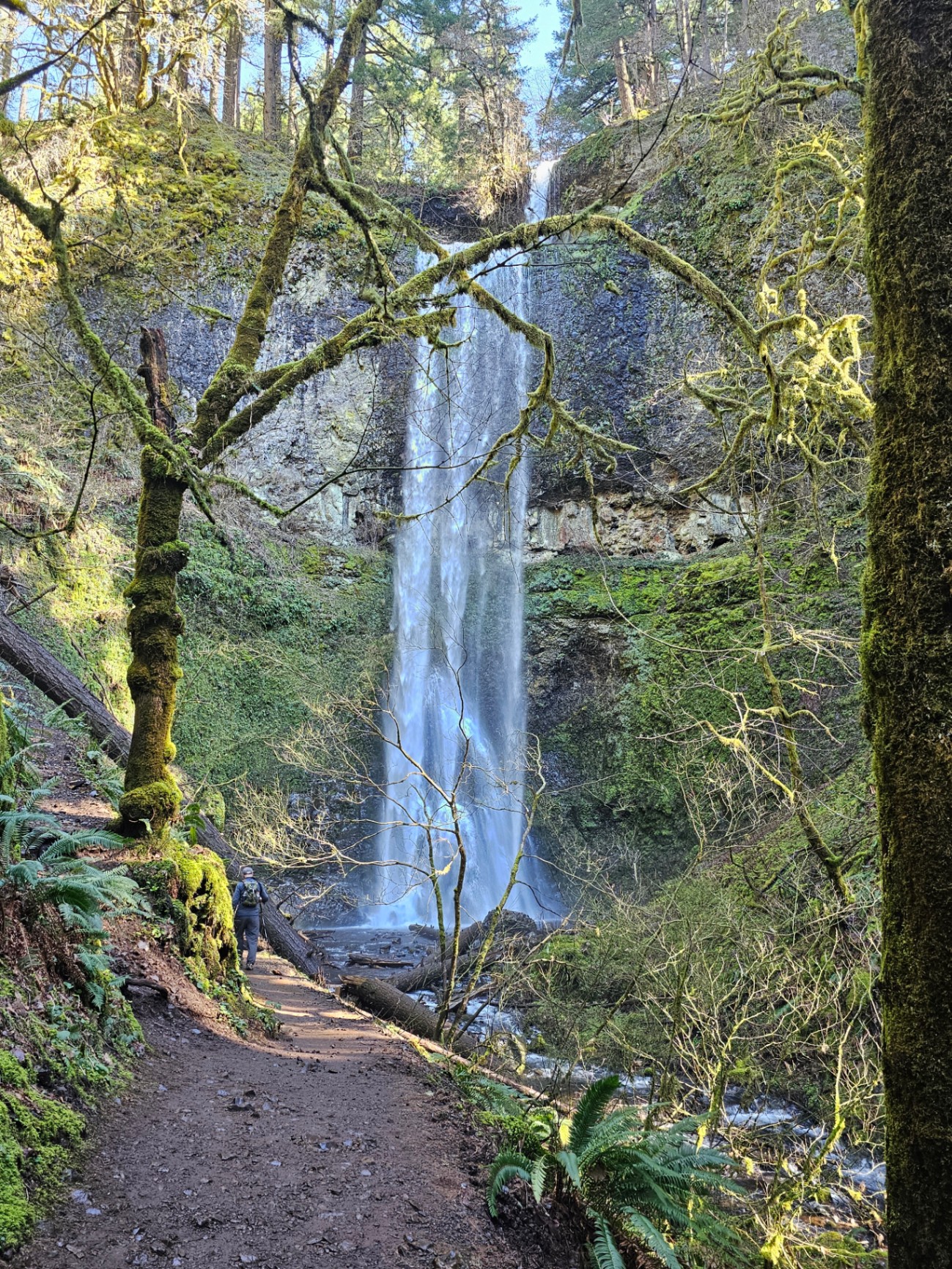 Waterfall on a mossy forest trail in Oregon